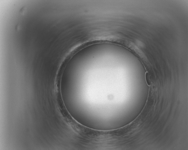 X0000071770628200607150029