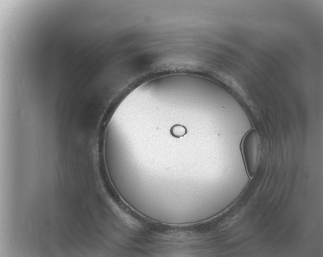 X0000071770629200607150029