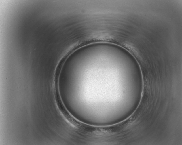 X0000071770630200607150029