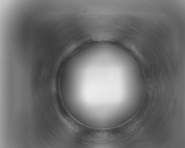 X0000071770631200607150029