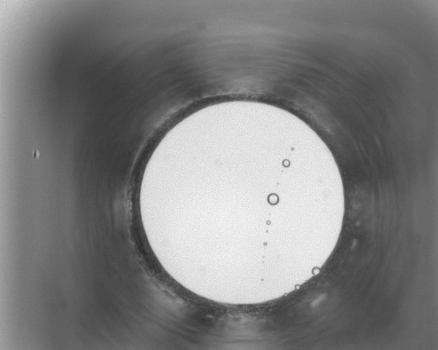 X0000071770632200607150029