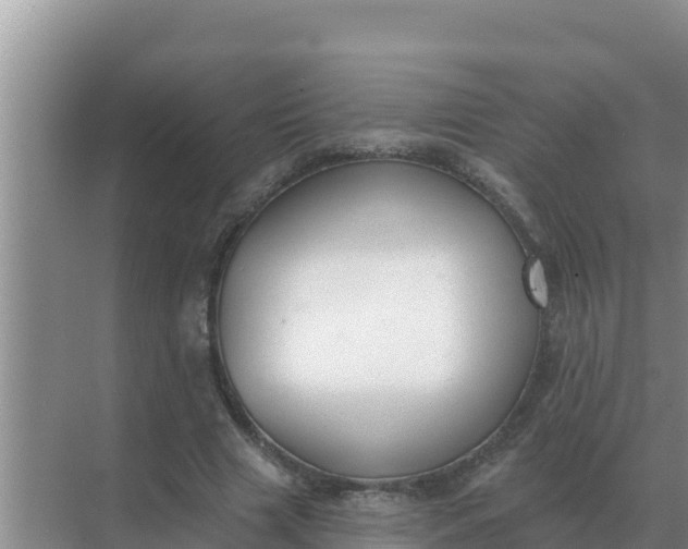 X0000071770633200607150029