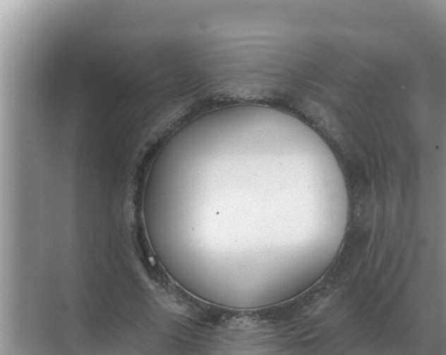 X0000071770635200607150029