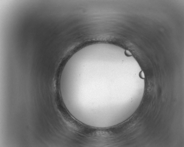 X0000071770636200607150029