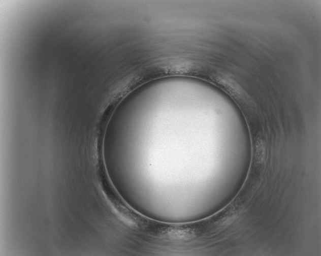 X0000071770638200607150029