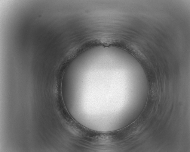 X0000071770639200607150029