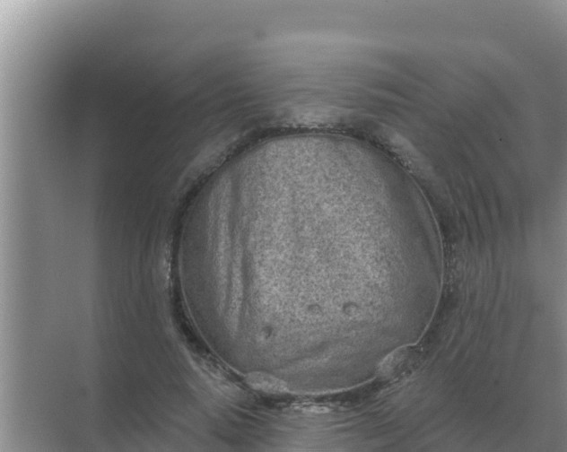 X0000071770640200607150029