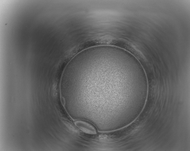 X0000071770641200607150029