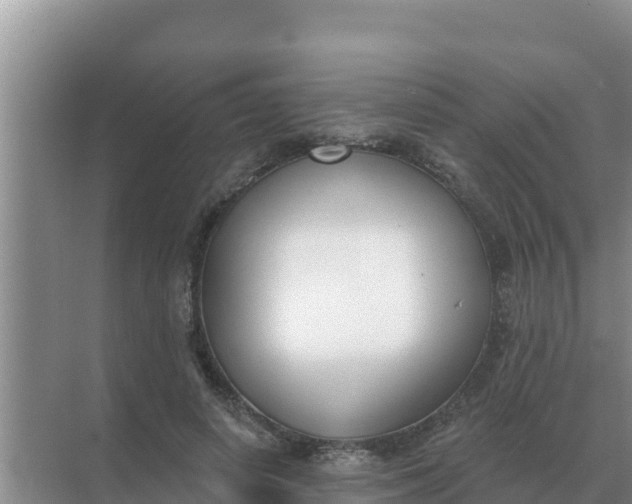 X0000071770642200607150029