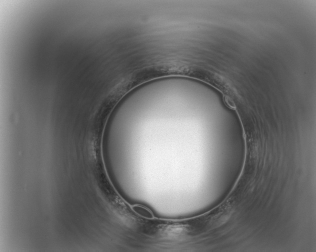 X0000071770643200607150029