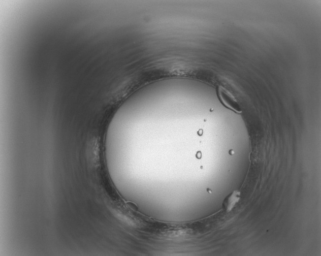 X0000071770646200607150029