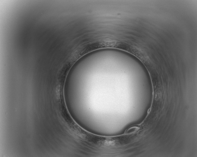 X0000071770647200607150029