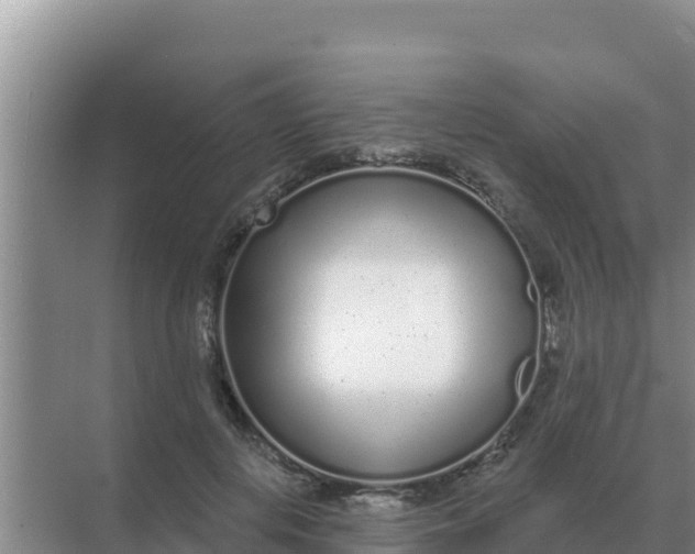 X0000071770648200607150029