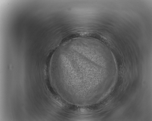 X0000071770650200607150029