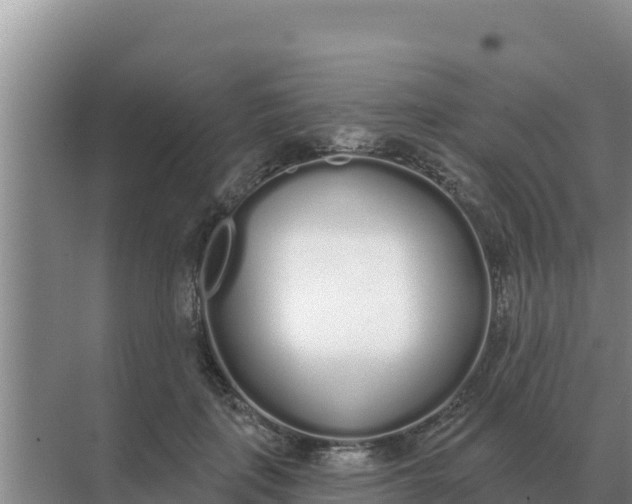 X0000071770651200607150029