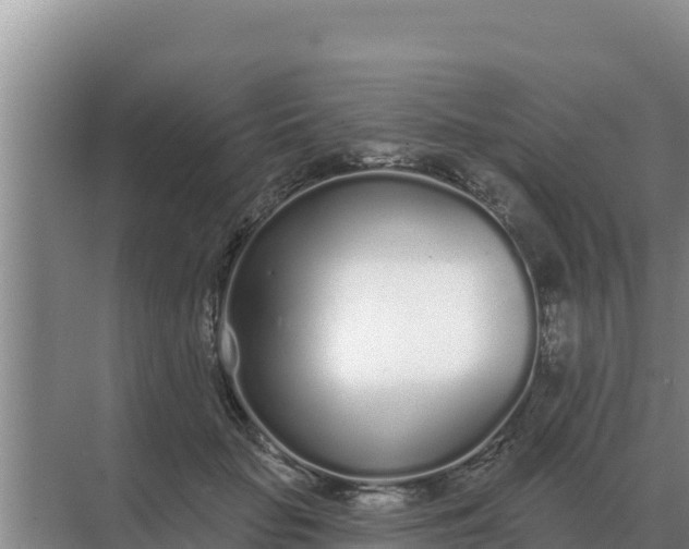 X0000071770653200607150029