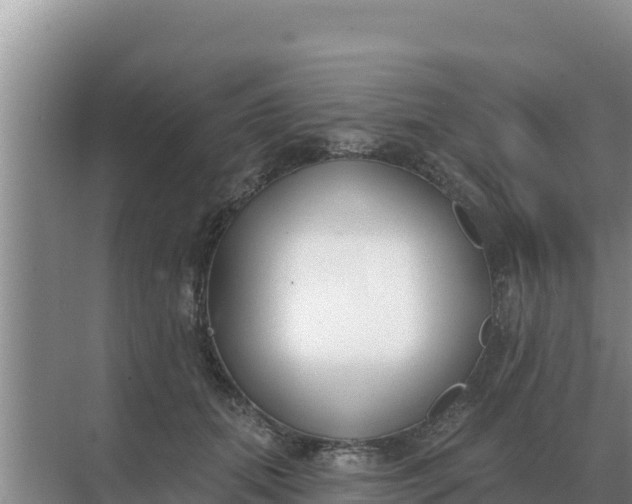 X0000071770655200607150029