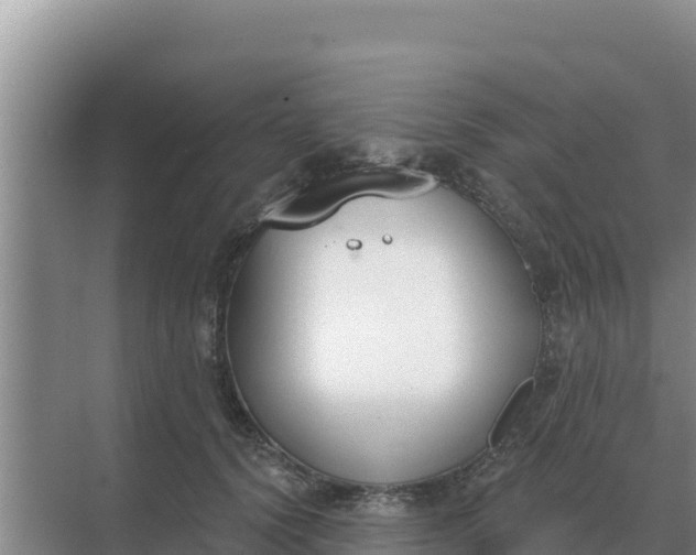 X0000071770656200607150029