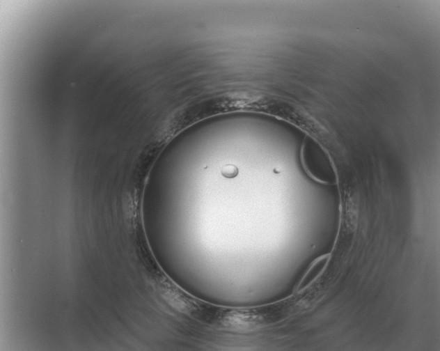 X0000071770657200607150029