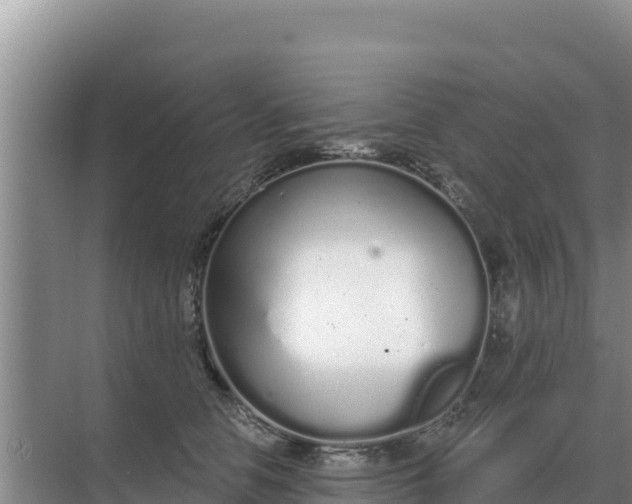 X0000071770658200607150029