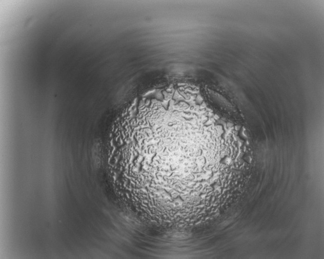 X0000071770659200607150029