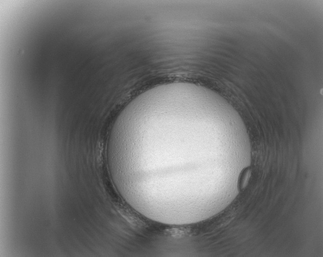 X0000071770660200607150030