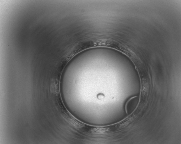 X0000071770661200607150030