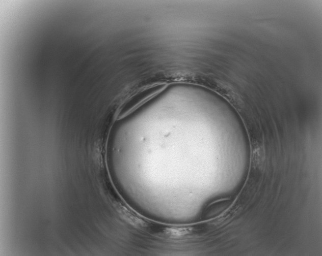 X0000071770662200607150030