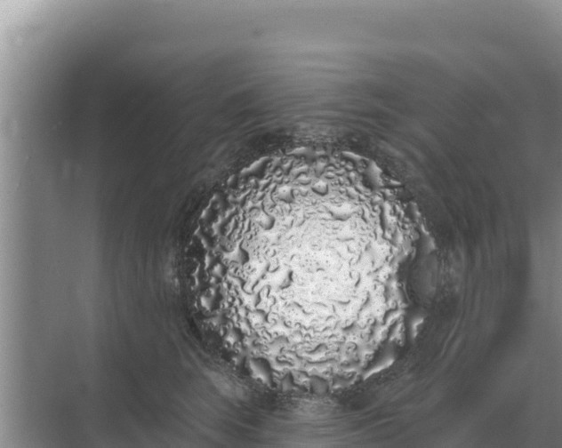 X0000071770663200607150030