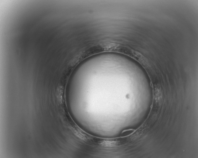 X0000071770664200607150030