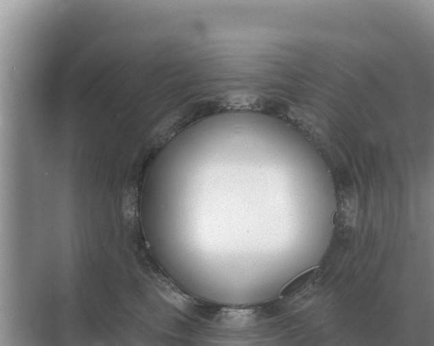 X0000071770665200607150030