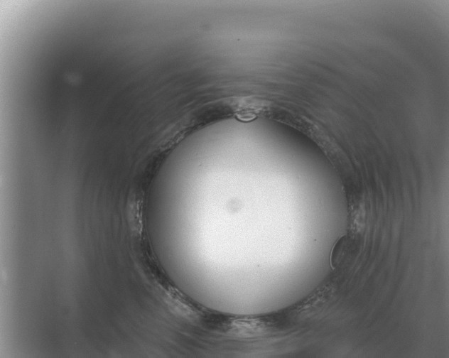 X0000071770666200607150030