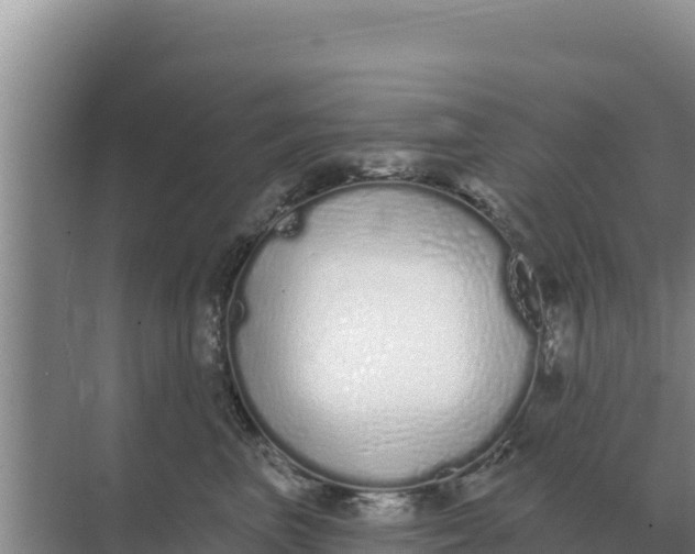 X0000071770667200607150030