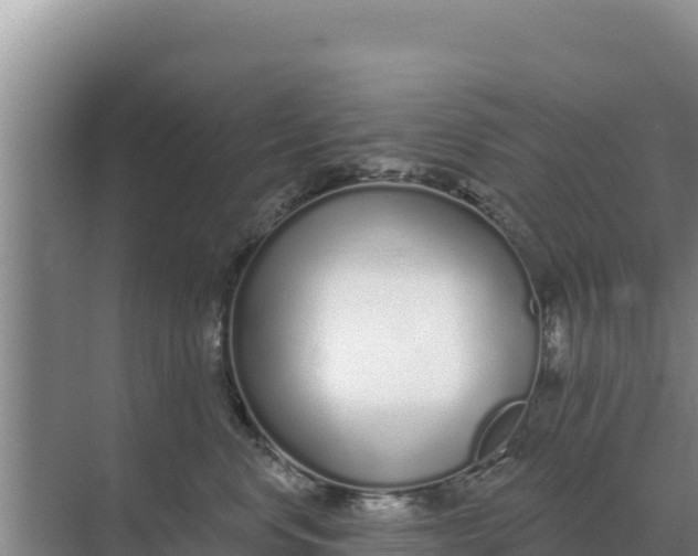 X0000071770668200607150030