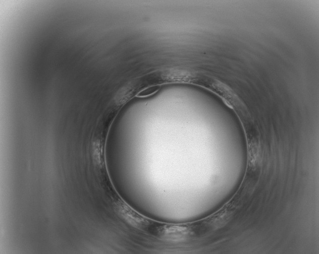 X0000071770669200607150030