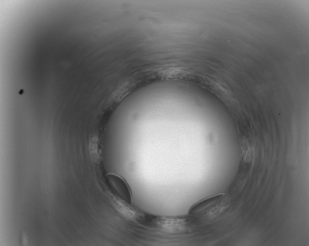 X0000071770670200607150030