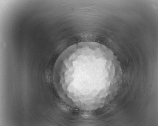 X0000071770671200607150030