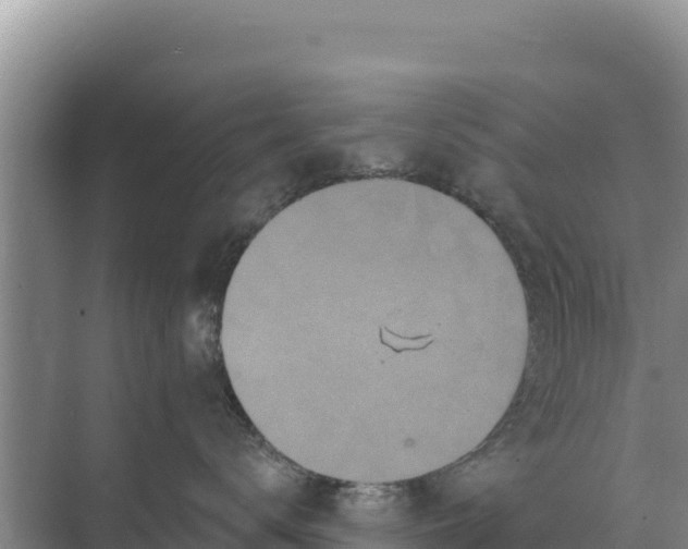 X0000071770672200607150030