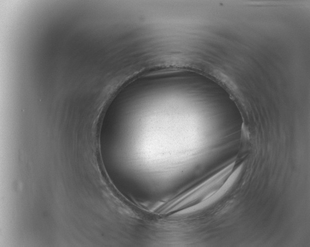 X0000071770673200607150029