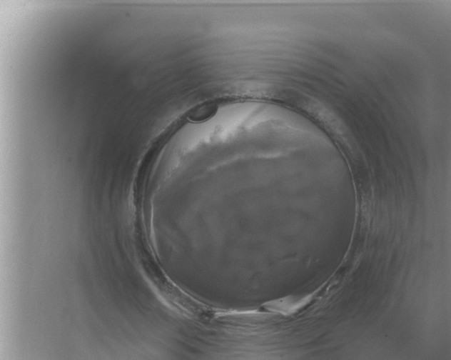 X0000071770674200607150029