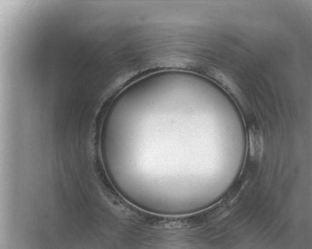 X0000071770675200607150029