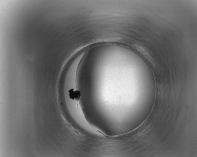 X0000071770676200607150029