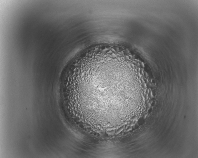 X0000071770679200607150029