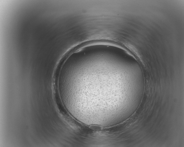 X0000071770680200607150029