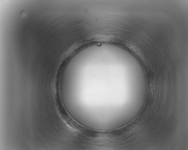 X0000071770682200607150029