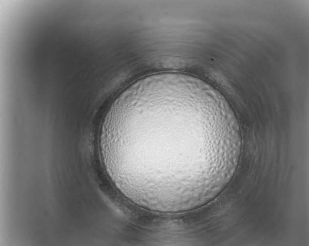 X0000071770683200607150029