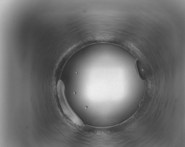 X0000071770684200607150029