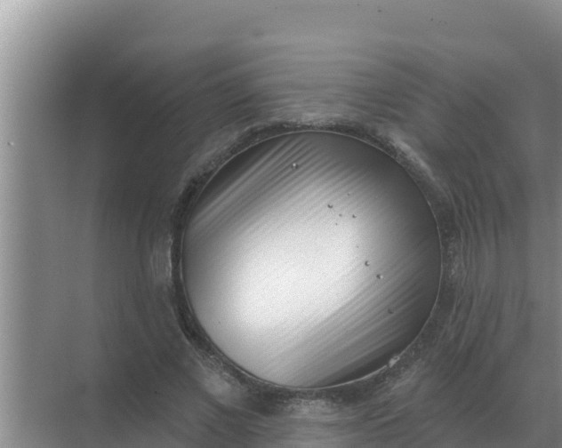 X0000071770685200607150029