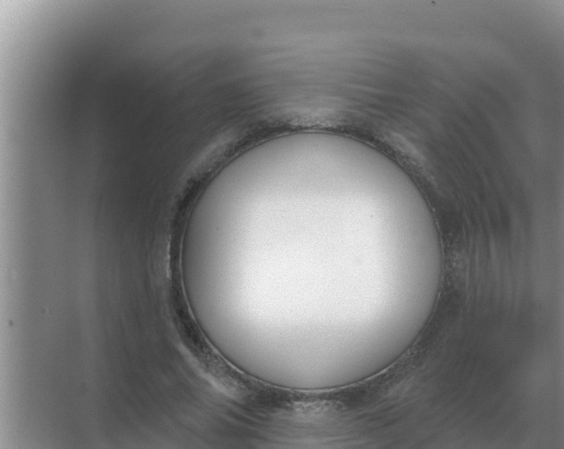 X0000071770686200607150029