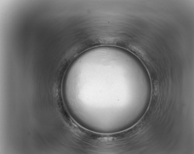 X0000071770687200607150029